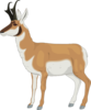 Animal Side View Clip Art